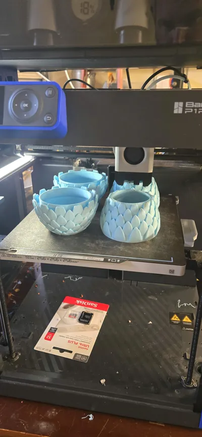 https://makerworld.bblmw.com/makerworld/model/824320/767834/ratings/0749d760-1877-11f0-a794-2b94b87e8551.jpg