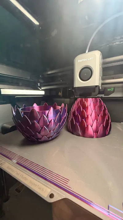 https://makerworld.bblmw.com/makerworld/model/824320/767861/ratings/18975e30-191b-11f0-bab4-6303122f46ef.jpg