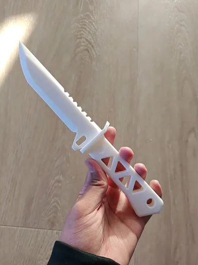 https://makerworld.bblmw.com/makerworld/model/825056/768716/ratings/f459b870-2f5d-11f0-a249-8d867dabb1a5.jpg