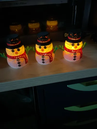 https://makerworld.bblmw.com/makerworld/model/826275/779787/ratings/a0a1a390-dc1f-11f0-b59a-a5cb25bf6bdd.jpg