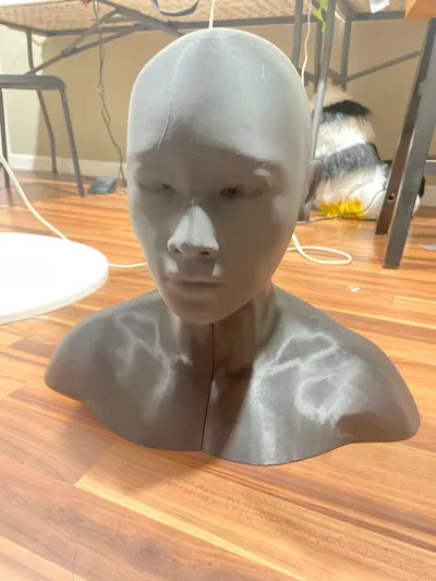 https://makerworld.bblmw.com/makerworld/model/826731/770485/ratings/da5602f0-2939-11f0-b071-d71342428f7b.jpg