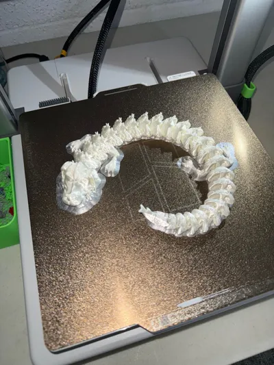 https://makerworld.bblmw.com/makerworld/model/826741/776677/ratings/9b3e2aa0-44d9-11f0-adf1-c944b73c0cea.jpg