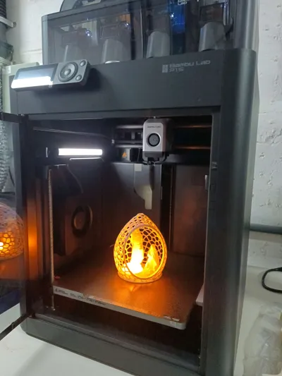 https://makerworld.bblmw.com/makerworld/model/827553/771407/ratings/a571b760-d8ec-11f0-acbd-9b3d04135643.jpg