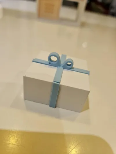 https://makerworld.bblmw.com/makerworld/model/827964/774126/ratings/b5284350-c14e-11f0-a955-c96a996157cc.jpg