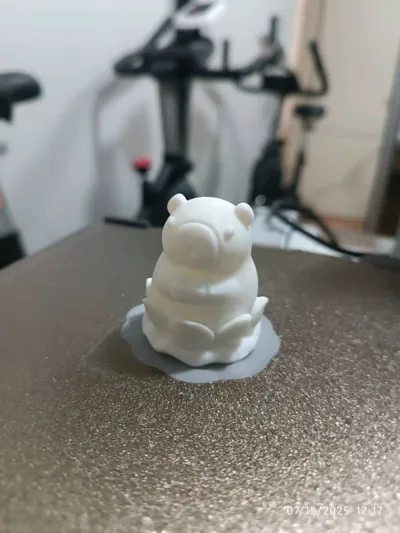 https://makerworld.bblmw.com/makerworld/model/830163/774335/ratings/f49d9240-d37f-11f0-9698-45d2a65b71e6.jpg