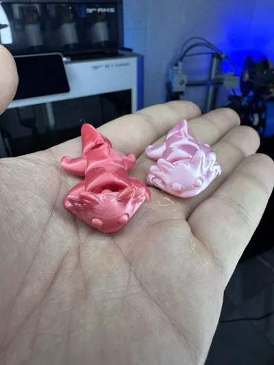 https://makerworld.bblmw.com/makerworld/model/831088/775508/ratings/5184e440-0d6f-11f0-9054-b538df362a11.jpg