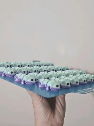 https://makerworld.bblmw.com/makerworld/model/831088/775519/ratings/a2765a70-b489-11f0-b18c-3beec2ba521c.jpg