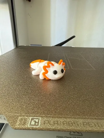 https://makerworld.bblmw.com/makerworld/model/831088/877495/ratings/1c2759e0-3c95-11f0-a412-51a42338e743.jpg