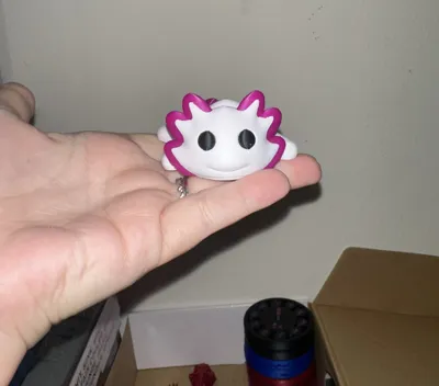 https://makerworld.bblmw.com/makerworld/model/831088/877495/ratings/8d770d20-e915-11f0-b811-7d264a200371.jpg