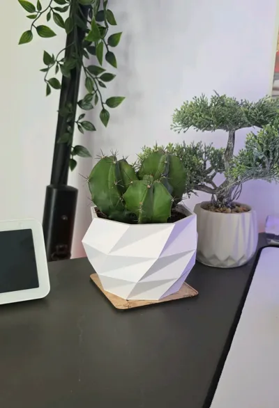 https://makerworld.bblmw.com/makerworld/model/831438/775908/ratings/5b045620-8da0-11f0-a85c-8919cbba65d8.jpg