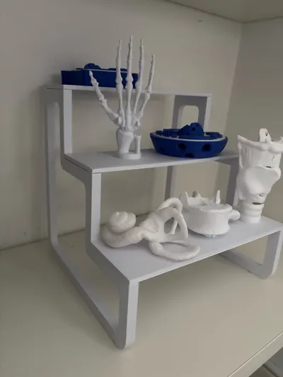 https://makerworld.bblmw.com/makerworld/model/834517/779493/ratings/4968b260-cb91-11f0-978b-992cc62e620a.jpg