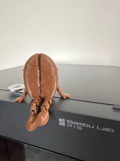 https://makerworld.bblmw.com/makerworld/model/834905/779928/ratings/6c2d3d00-2e54-11f0-92e1-2d4e7f6b89e1.jpg