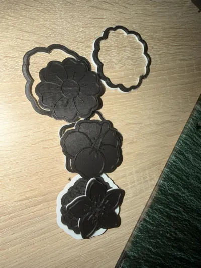 https://makerworld.bblmw.com/makerworld/model/83499/89154/ratings/b4e0b9e0-e246-11f0-b1bd-650973bdf153.jpg