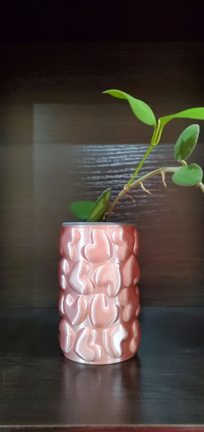 https://makerworld.bblmw.com/makerworld/model/836364/781710/ratings/3a5dc200-d213-11f0-9653-f9c0cf253d65.jpg