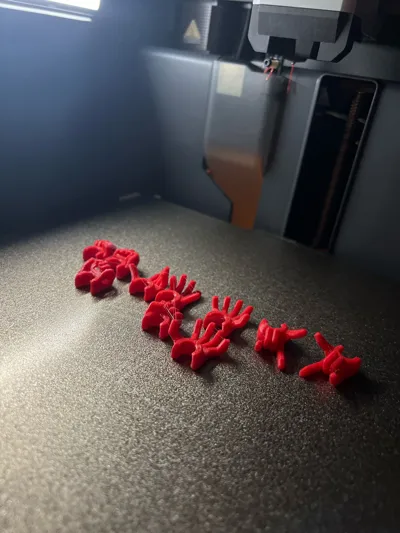 https://makerworld.bblmw.com/makerworld/model/836535/781902/ratings/9e9a8820-141d-11f0-a2e1-8fd742a331ae.jpg