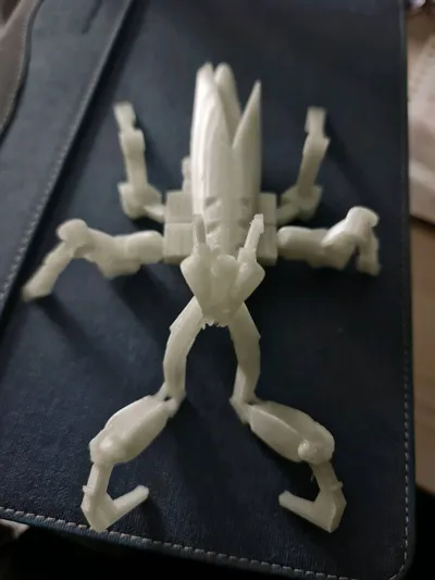 https://makerworld.bblmw.com/makerworld/model/837135/782643/ratings/a31e3ee0-cdd2-11f0-9eb6-cd74352c4ef0.jpg
