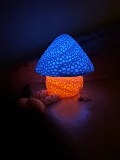 https://makerworld.bblmw.com/makerworld/model/839804/785730/ratings/7150cfe0-13e7-11f0-8716-7dd39a7ee226.jpg