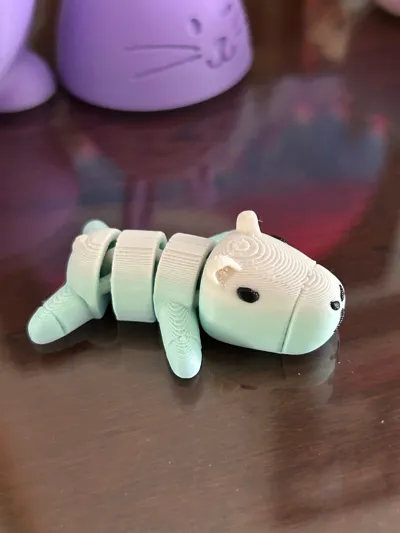 https://makerworld.bblmw.com/makerworld/model/842498/789006/ratings/8ab7a710-1874-11f0-8e73-73cfd1a4597a.jpg