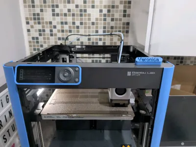 https://makerworld.bblmw.com/makerworld/model/842700/789253/ratings/7f770760-ba81-11f0-ad00-8182a3589e4f.jpg