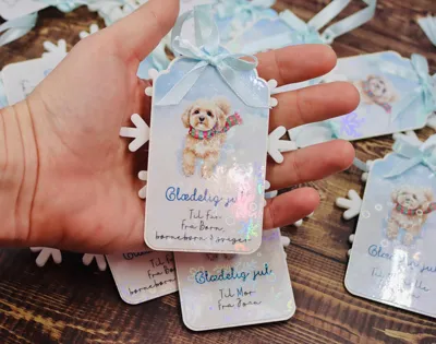 https://makerworld.bblmw.com/makerworld/model/843383/790046/ratings/64e07680-e1a9-11f0-ae8f-836c378e901c.jpg
