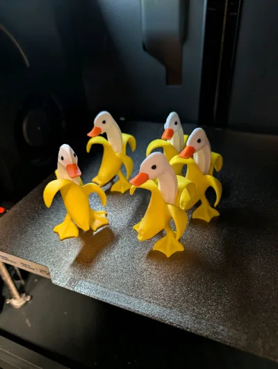 https://makerworld.bblmw.com/makerworld/model/843673/790375/ratings/ce411040-2948-11f0-9164-91b32916a343.jpg
