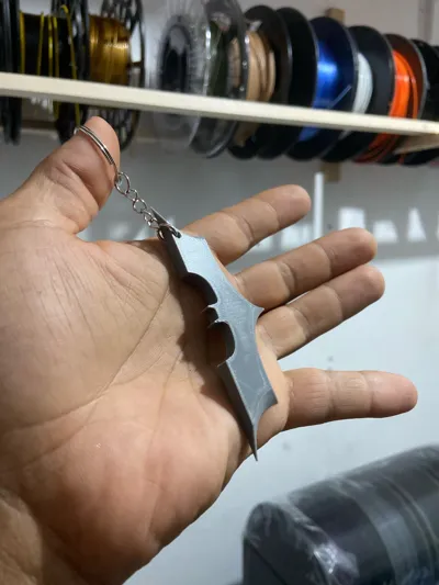 https://makerworld.bblmw.com/makerworld/model/845203/792213/ratings/0c1144c0-5041-11f0-9485-398e7c76c964.jpg