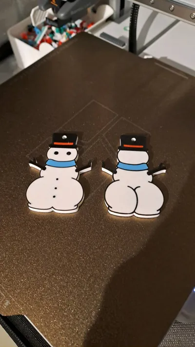 https://makerworld.bblmw.com/makerworld/model/845323/2244318/ratings/fc810920-d2d4-11f0-97b4-4738f7e1e3cf.jpg