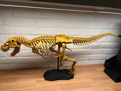 https://makerworld.bblmw.com/makerworld/model/84979/90845/ratings/97f34160-d9f2-11f0-afaa-0da0da8695bb.jpg