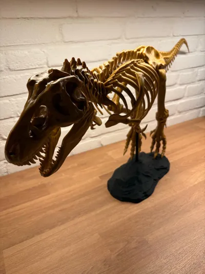 https://makerworld.bblmw.com/makerworld/model/84979/90845/ratings/97f4ef10-d9f2-11f0-afaa-0da0da8695bb.jpg
