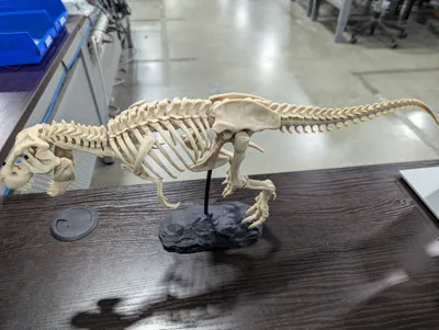https://makerworld.bblmw.com/makerworld/model/84979/90845/ratings/bba2b950-e723-11ef-acd0-7917c328f30d.jpg