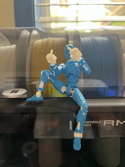 https://makerworld.bblmw.com/makerworld/model/850267/798113/ratings/133a7b30-f19b-11f0-a8a4-7112a8a4e142.jpg