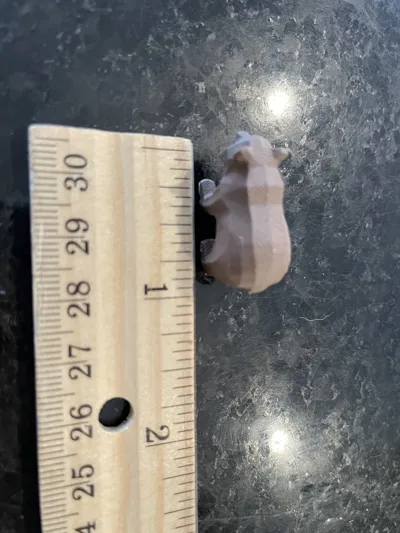 https://makerworld.bblmw.com/makerworld/model/850425/798285/ratings/0c35a540-feb6-11ef-b5ce-a16067c5f554.jpg