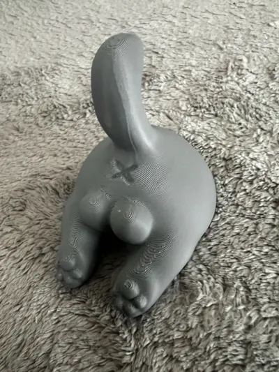 https://makerworld.bblmw.com/makerworld/model/852242/800786/ratings/da8e8d70-f821-11f0-b0ca-1d9cb1b228d4.jpg
