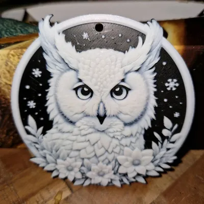 https://makerworld.bblmw.com/makerworld/model/852524/801001/ratings/5cd01e40-c05d-11f0-b672-9dcb4c6ca9d8.jpg