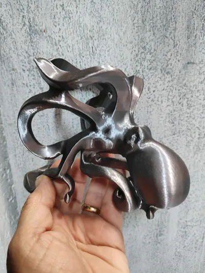 https://makerworld.bblmw.com/makerworld/model/852679/801216/ratings/00f8ea80-6599-11f0-a9f0-edeb1e909e0b.jpg