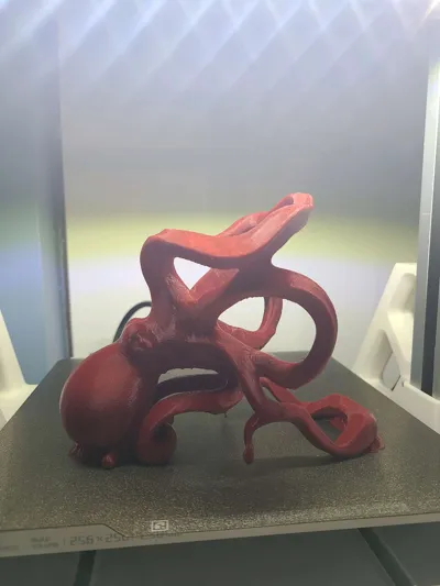 https://makerworld.bblmw.com/makerworld/model/852679/801216/ratings/58f730e0-0d13-11f0-bd82-61ff9501383f.jpg