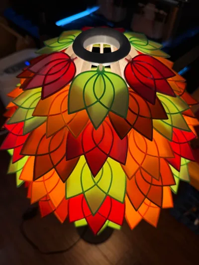 https://makerworld.bblmw.com/makerworld/model/852687/801224/ratings/73acfc10-f1d5-11f0-8dd4-21ffa64eeb36.jpg