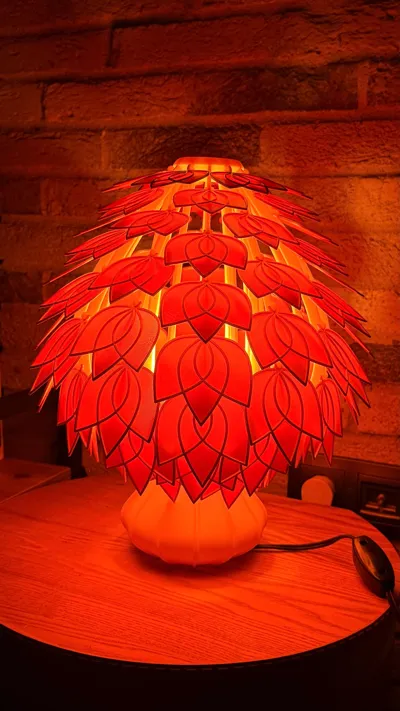 https://makerworld.bblmw.com/makerworld/model/852687/801224/ratings/740a84e0-f0a2-11f0-87ee-e73aa7d9440e.jpg