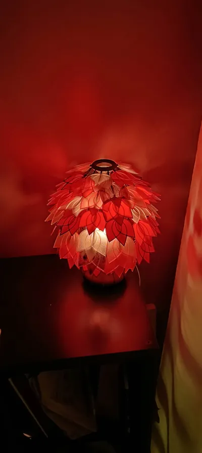 https://makerworld.bblmw.com/makerworld/model/852687/801224/ratings/86b0bea0-e0c3-11f0-afc0-b742f23f6492.jpg