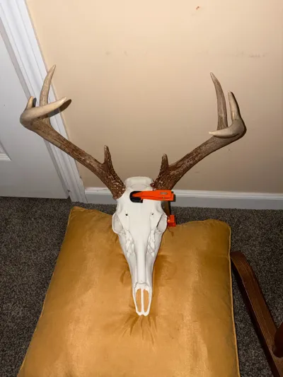 https://makerworld.bblmw.com/makerworld/model/852826/801575/ratings/669f7440-e73e-11f0-a199-cd61786a84d4.jpg