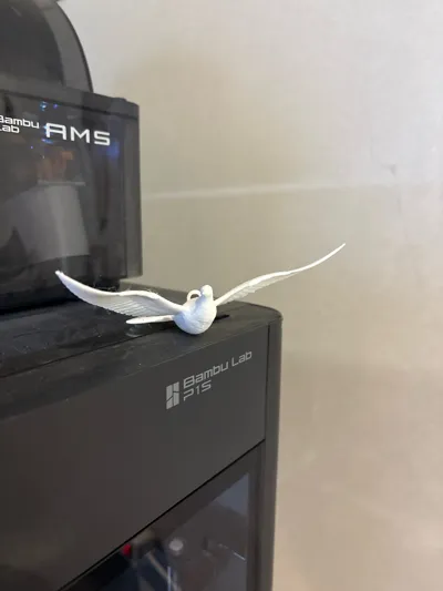https://makerworld.bblmw.com/makerworld/model/853165/801748/ratings/0616fef0-d3bf-11f0-9a2e-79c529b1058f.jpg