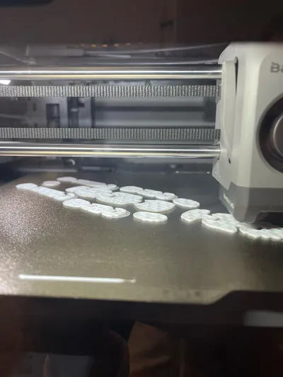 https://makerworld.bblmw.com/makerworld/model/853839/1004574/ratings/a69865f0-e8b7-11f0-967d-61162c1806e5.jpg