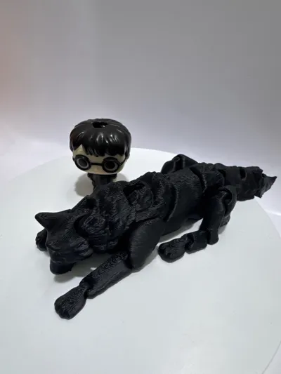 https://makerworld.bblmw.com/makerworld/model/853839/1004574/ratings/a76a7d20-883a-11f0-993a-558bbe7d985d.jpg