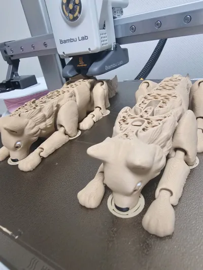 https://makerworld.bblmw.com/makerworld/model/853839/1133204/ratings/840ad7c0-80e3-11f0-89d3-95f26b129173.jpg