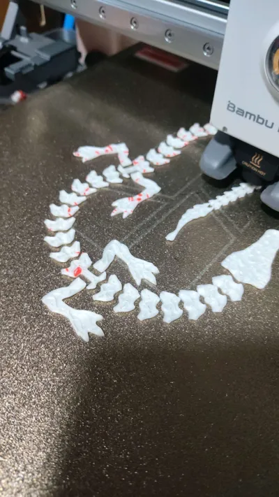 https://makerworld.bblmw.com/makerworld/model/854179/1592100/ratings/b5a3ba10-758d-11f0-86f2-9bc5443de6b0.jpg