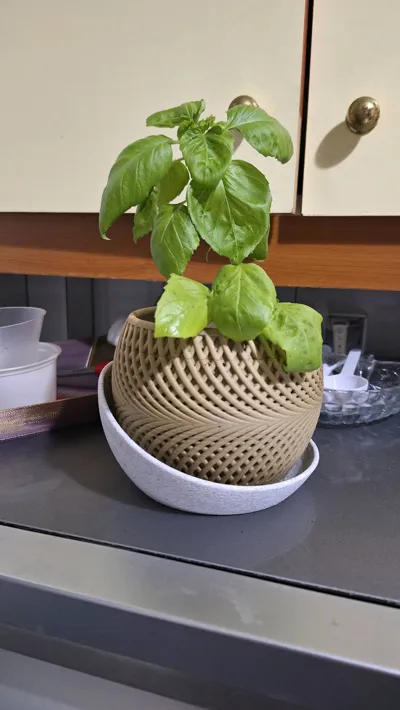 https://makerworld.bblmw.com/makerworld/model/855454/804652/ratings/4a66d680-bdb1-11f0-8b6b-57ca056da701.jpg