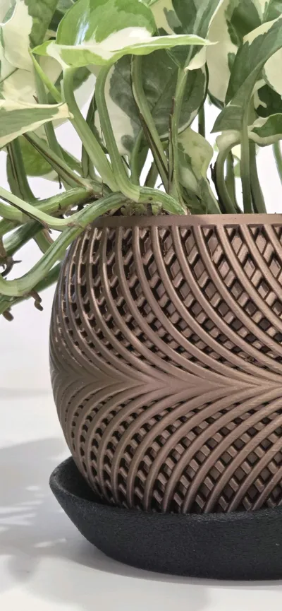 https://makerworld.bblmw.com/makerworld/model/855454/804652/ratings/61c13950-5b5b-11f0-b02b-a31f4f98686c.jpg