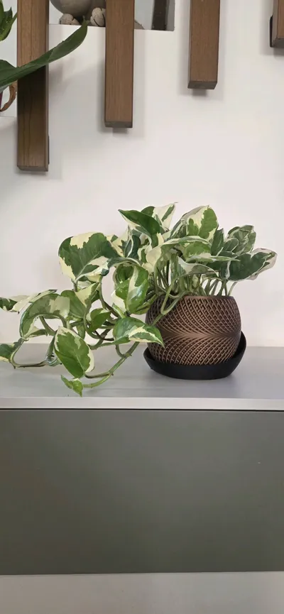 https://makerworld.bblmw.com/makerworld/model/855454/804652/ratings/61cfdf50-5b5b-11f0-b02b-a31f4f98686c.jpg