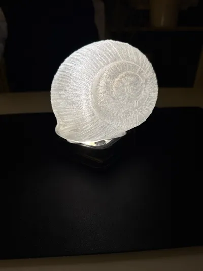 https://makerworld.bblmw.com/makerworld/model/855962/1629524/ratings/add7add0-bdec-11f0-a796-971c4d443ecf.jpg