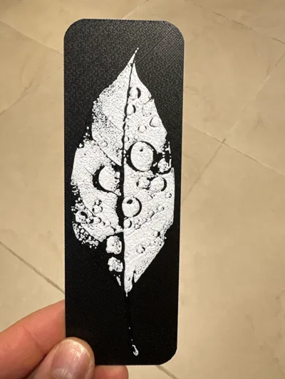 https://makerworld.bblmw.com/makerworld/model/858018/807661/ratings/1737aed0-c77d-11f0-9e38-154c51445508.jpg